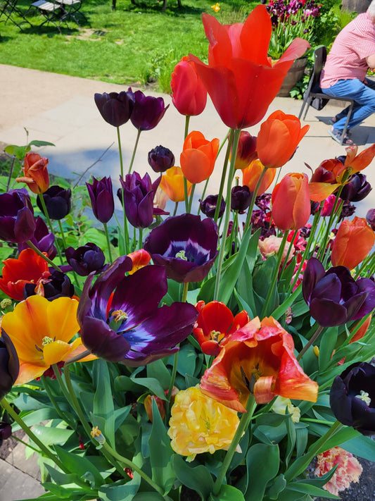 june round up