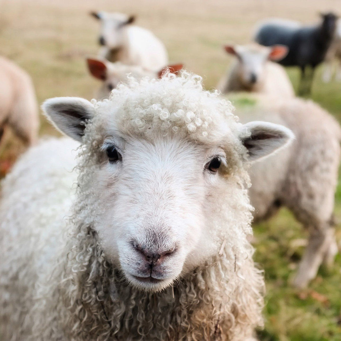 Farming & Agriculture Printing Solutions