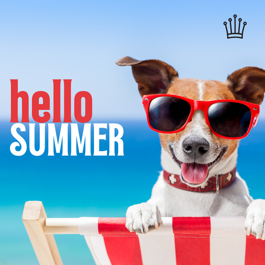 Summer Holiday Details
