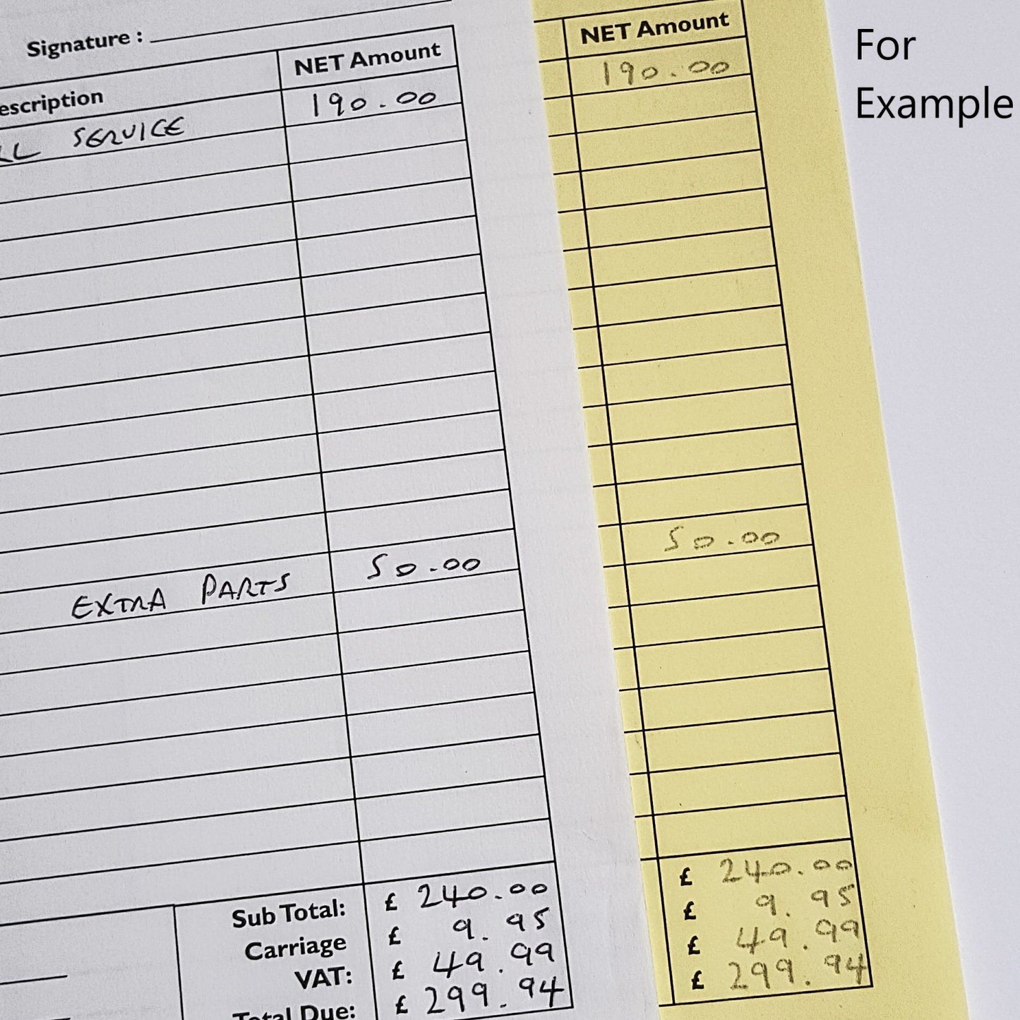 DL Duplicate NCR Sets